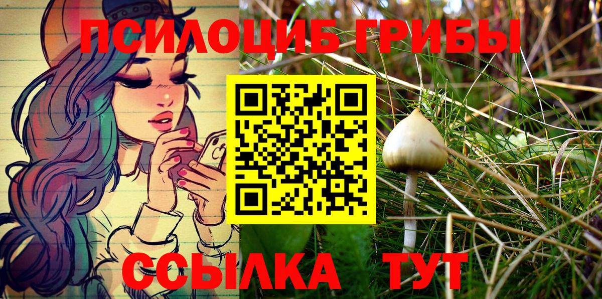 Псилоцибиновые грибы Psilocybine cubensis  Вход с VPN  Псилоцибиновые грибы MAGIC MUSHROOMS  Карпинск 