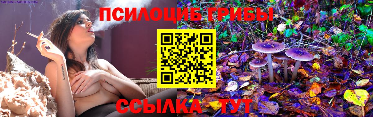 Псилоцибиновые грибы Psilocybine cubensis Карпинск